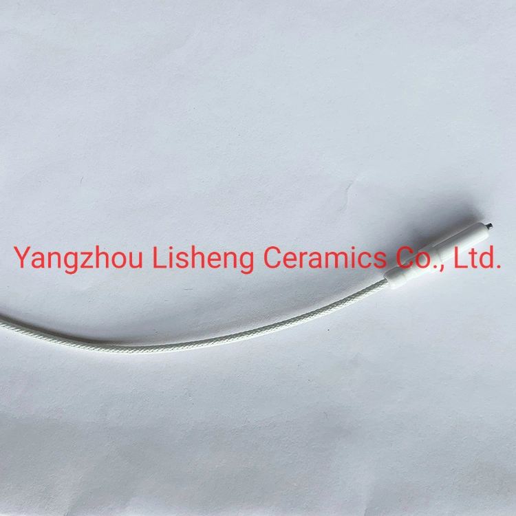 Liquefied Gas Ignition Electrode