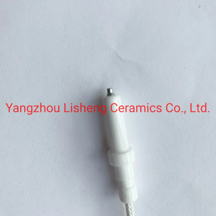 Liquefied Gas Ignition Electrode