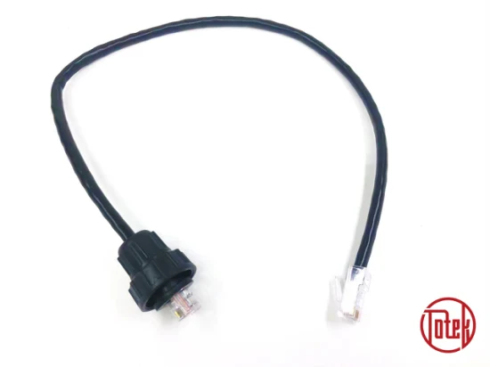 Factory Hot Selling Indoor Outdoor Networking Accessory UTP Cat5e Patch Cord RJ45 LAN Network Ethernet Cable Custom Cable
